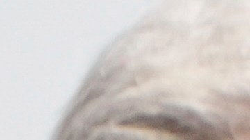 En el documento, que cuenta con 158 páginas y abarca desde el 1 de septiembre de 2023 y el 31 de agosto de 2024 en Venezuela.