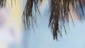 Misión de la ONU acusa al régimen de Maduro de crímenes de lesa humanidad tras elecciones