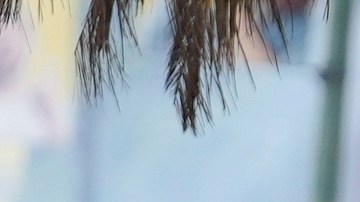 Misión de la ONU acusa al régimen de Maduro de crímenes de lesa humanidad tras elecciones