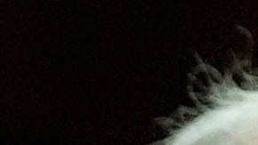 Fotomontaje de Donald Trump y Elon Musk