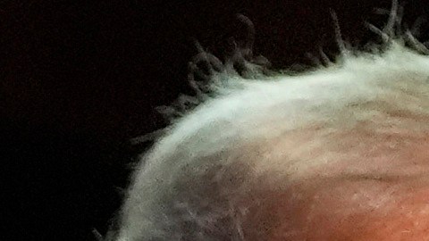 Fotomontaje de Donald Trump y Elon Musk