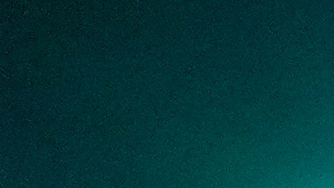 Canelo Álvarez celebra luego de vencer a Édgar Berlanga.