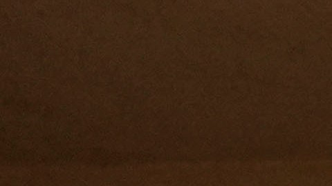 Las elecciones presidenciales de Estados Unidos son seguidas de cerca por todo el mundo.