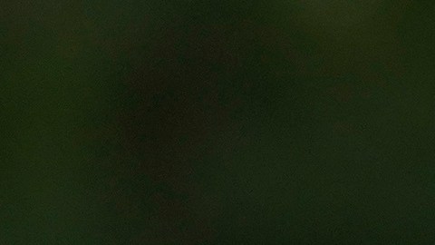 El gobernador de Florida, Ron DeSantis, advirtió sobre los peligros del huracán Milton.