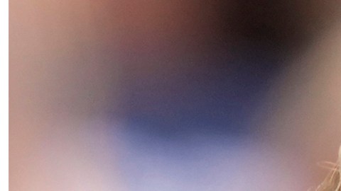 Fotomontaje de Donald Trump y Kamala Harris