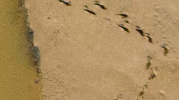 Los equipos de búsqueda buscan víctimas tras el paso del huracán Helene.