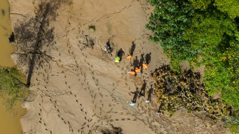 Los equipos de búsqueda buscan víctimas tras el paso del huracán Helene.