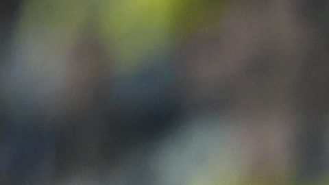 Lionel Messi durante el partido entre Columbus Crew y el Inter Miami.