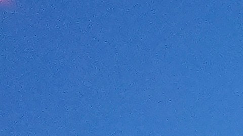 Entradas de la Serie Mundial entre Yankees y Dodgers superan los $1,000 dólares.