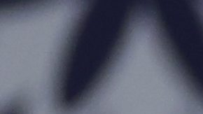 Jardineros de Yankees celebran el triunfo ante Royals.