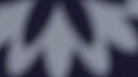 Jardineros de Yankees celebran el triunfo ante Royals.