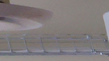 A pesar de sus acusaciones, su voto tendrá valor.