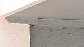 Preparativos por el huracán Milton en Florida