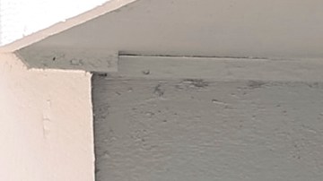 Preparativos por el huracán Milton en Florida