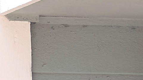 Preparativos por el huracán Milton en Florida