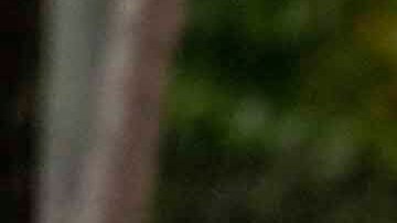 Huracán Milton se mantiene en categoría 1 y sigue la amenaza de marejada ciclónica