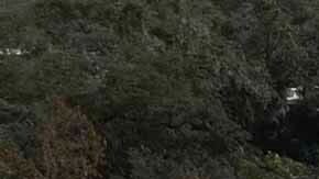 Vecindario en West Palm Beach fue destruido tras tornado generado por el huracán Milton