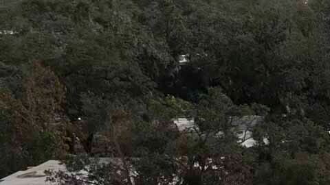 Vecindario en West Palm Beach fue destruido tras tornado generado por el huracán Milton