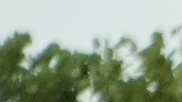 Impacto del huracán Milton en Tampa, Florida