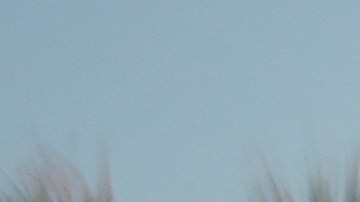 Biden anunciará más de $600 millones para proyecto de red eléctrica tras huracanes