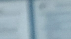 Las figuras de Dodgers se sorprendieron por la presencia de la serpiente.