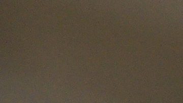 Manchester United despidió a Sir Alex Ferguson tras 38 años en el club