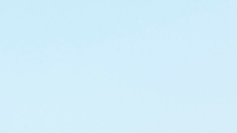 Inicia votación anticipada en Carolina del Norte, que se recupera del huracán Helene