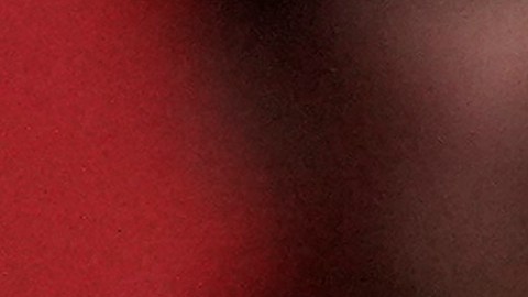 Kamala Harris en Wisconsin