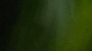 Michael Jeffries al ser arrestado en Florida el 22 de octubre de 2024.