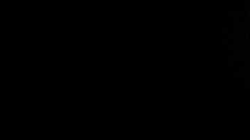 Mayoría de votantes aceptarán resultados electorales, pero no creen que Trump lo haga