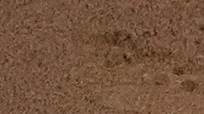 Kiké Hernández, de los Dodgers, y Austin Wells, de los Yankees en el Juego 2 de la Serie Mundial.