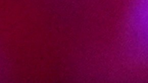 Robert F. Kennedy Jr. en Madison Square Garden con Trump