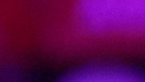 Robert F. Kennedy Jr. en Madison Square Garden con Trump