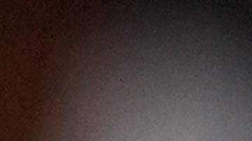 Trump ataca a Harris tachándola de "fascista" y afirma ser "lo opuesto a un nazi"