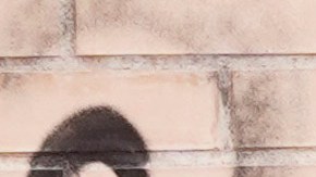 Solo en Valencia se reportó la muerte de 155 personas.