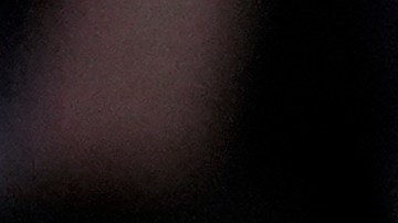 Mitin de Kamala Harris en Wisconsin