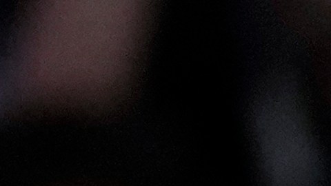 Mitin de Kamala Harris en Wisconsin