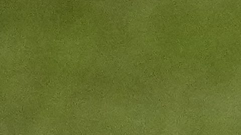 Dodgers se coronan campeones de la Serie Mundial 2024 sobre Yankees