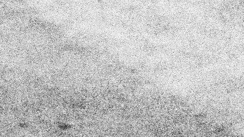 Los New York Yankees jugaron la Serie Mundial de 1955 ante los entonces Dodgers de Brooklyn.