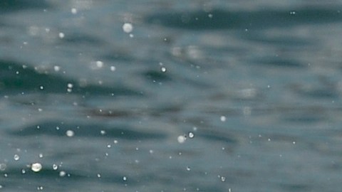 Atletas de triatlón. Imagen referencial.