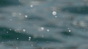 Atletas de triatlón. Imagen referencial.