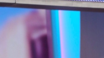 Adamari López, presentadora de televisión.