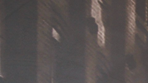 Adamari López.
