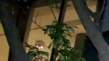 Adrián Marcelo se burló de la muerte de Liam Payne, quien falleció en el hotel Casa Sur, en Palermo, Argentina.