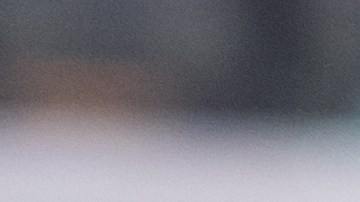 Los especialistas recomienda revisar las etiquetas para verificar los niveles de sodio y los ingredientes añadidos de los productos enlatados.