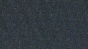 Ana Brenda Contreras.