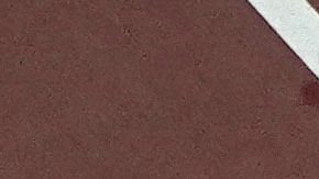 Corredoras en pista de Atletismo.