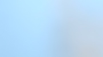 Las bayas de Gojis son ricas en antioxidantes.