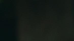 Biden visitó la semana pasada zonas afectadas por el huracán Helene.