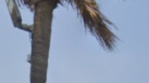 "Este es un crimen horrible", dijo el jefe de la policía, Doug Balli.